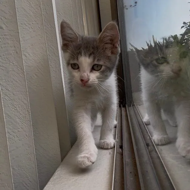 Jakey thumbnail 3