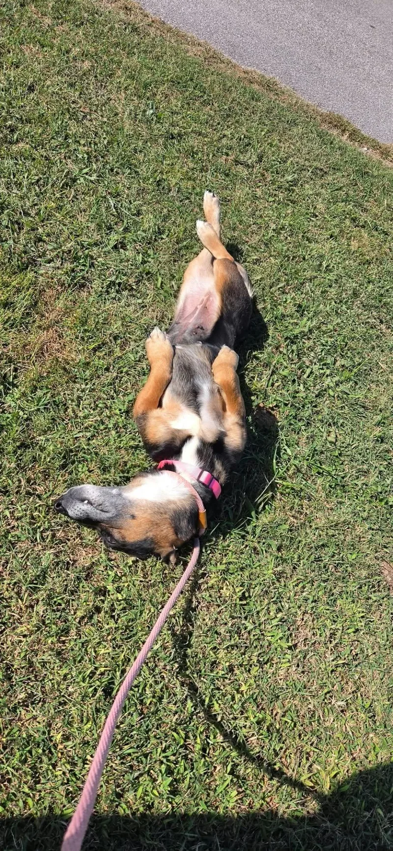 Delilah thumbnail 2