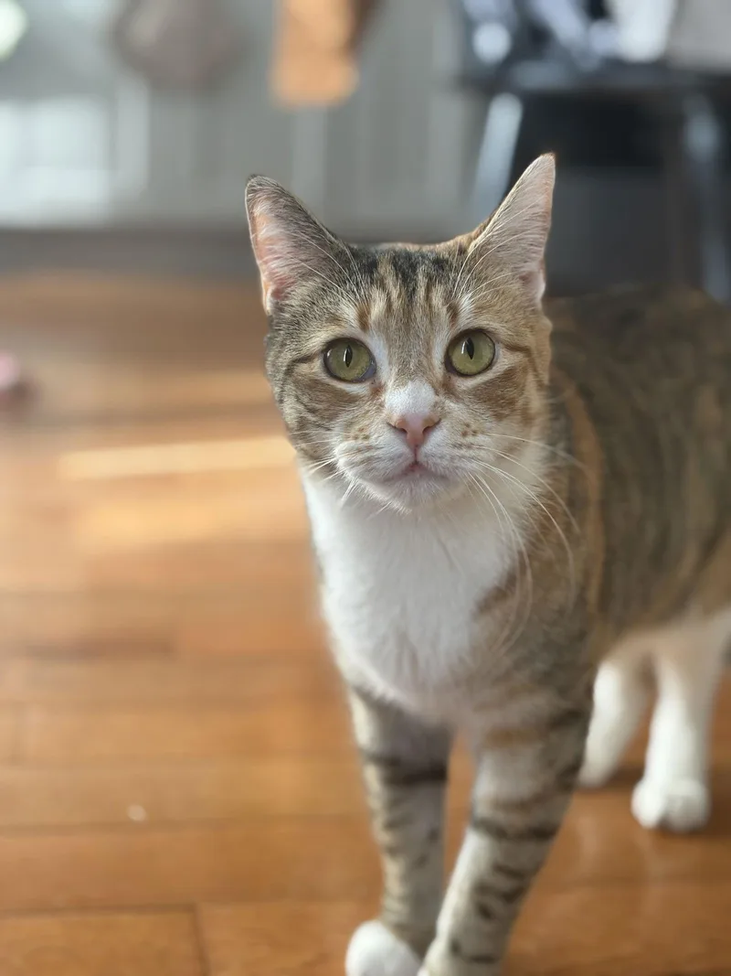 June And Bug thumbnail 2