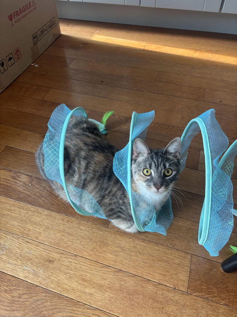 June And Bug thumbnail 3