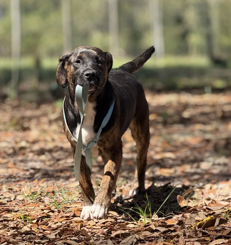 Martina Mcbride thumbnail 3