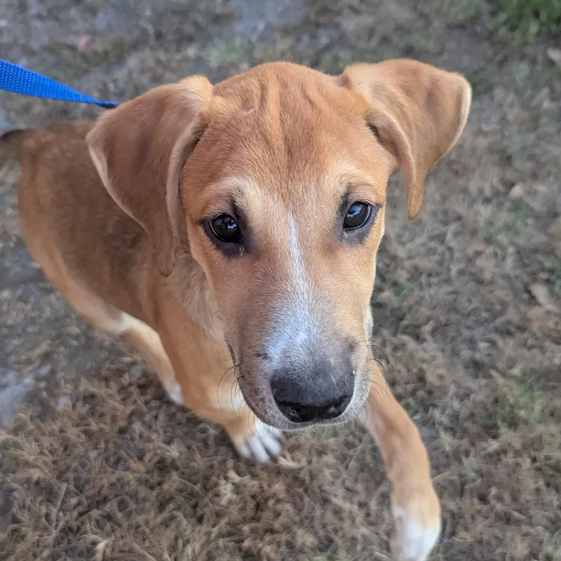 Peso Pluma thumbnail 2