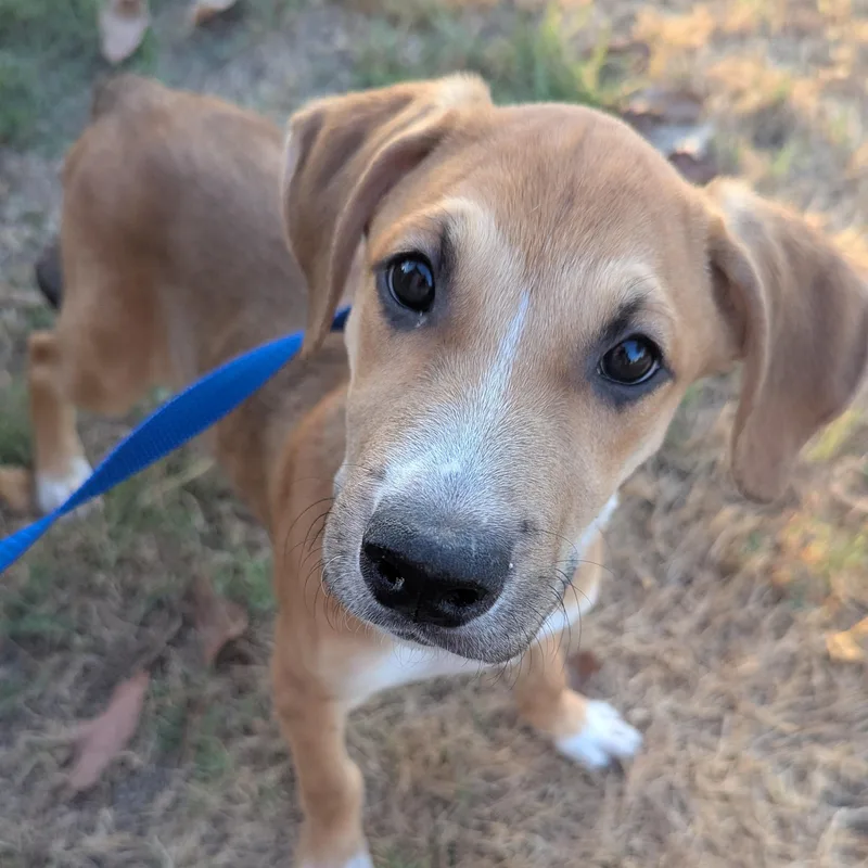 Peso Pluma thumbnail 3