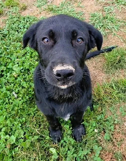 Archimedes thumbnail 4
