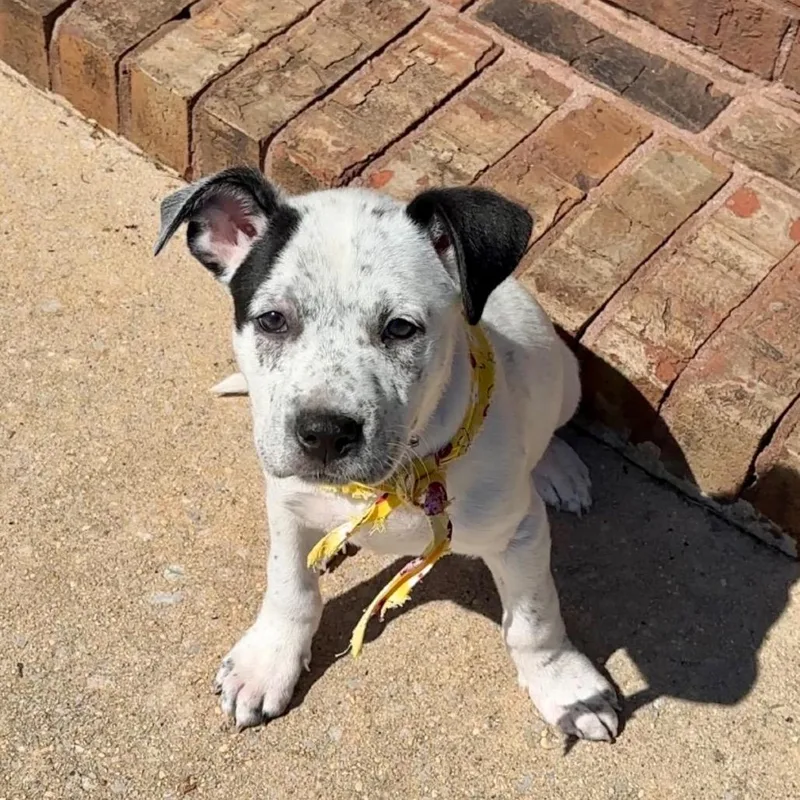 Snapchat thumbnail 2