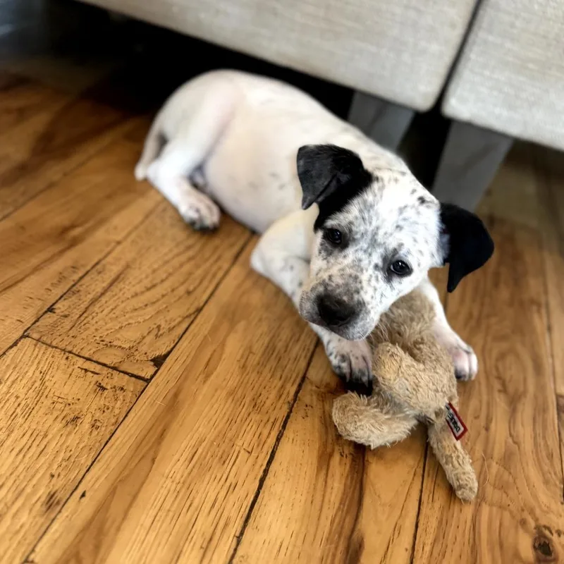 Snapchat thumbnail 3