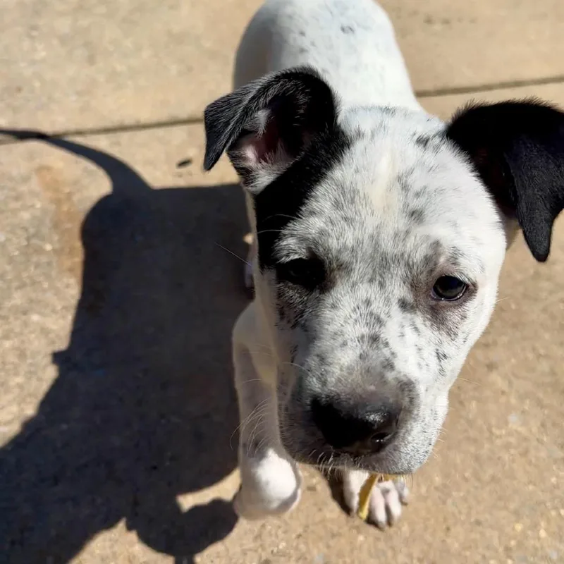 Snapchat thumbnail 4