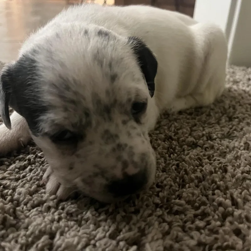 Snapchat thumbnail 5