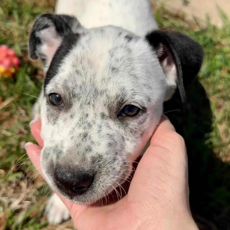 Snapchat thumbnail 6