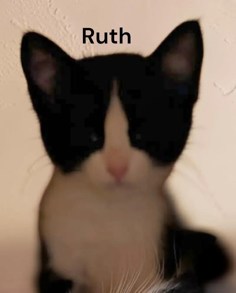 Ruth