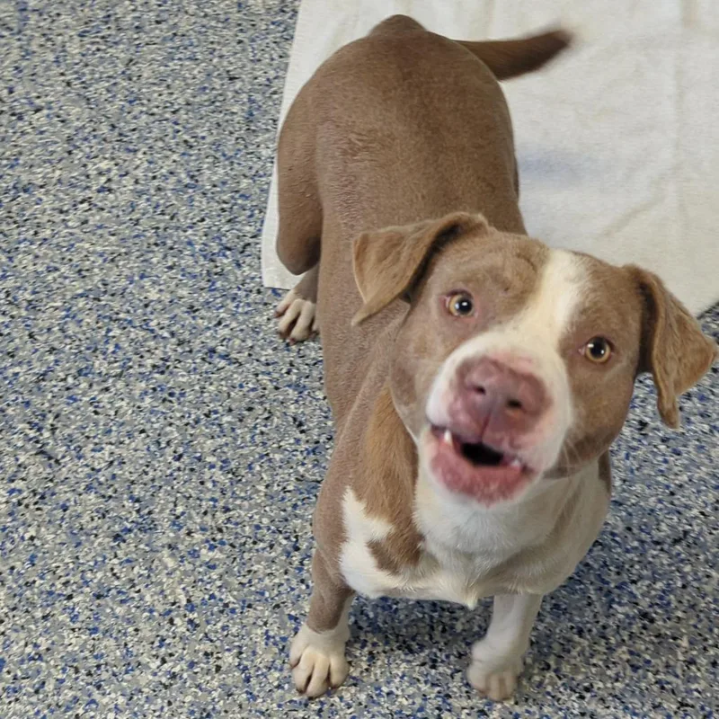 Princess Peach thumbnail 3