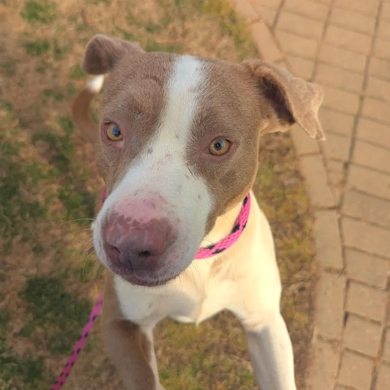 Princess Peach thumbnail 4