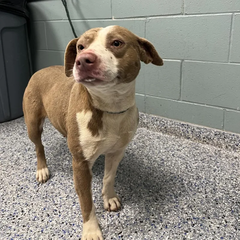 Princess Peach thumbnail 5