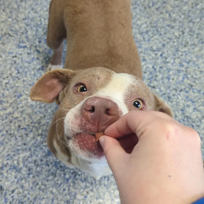 Princess Peach thumbnail 6