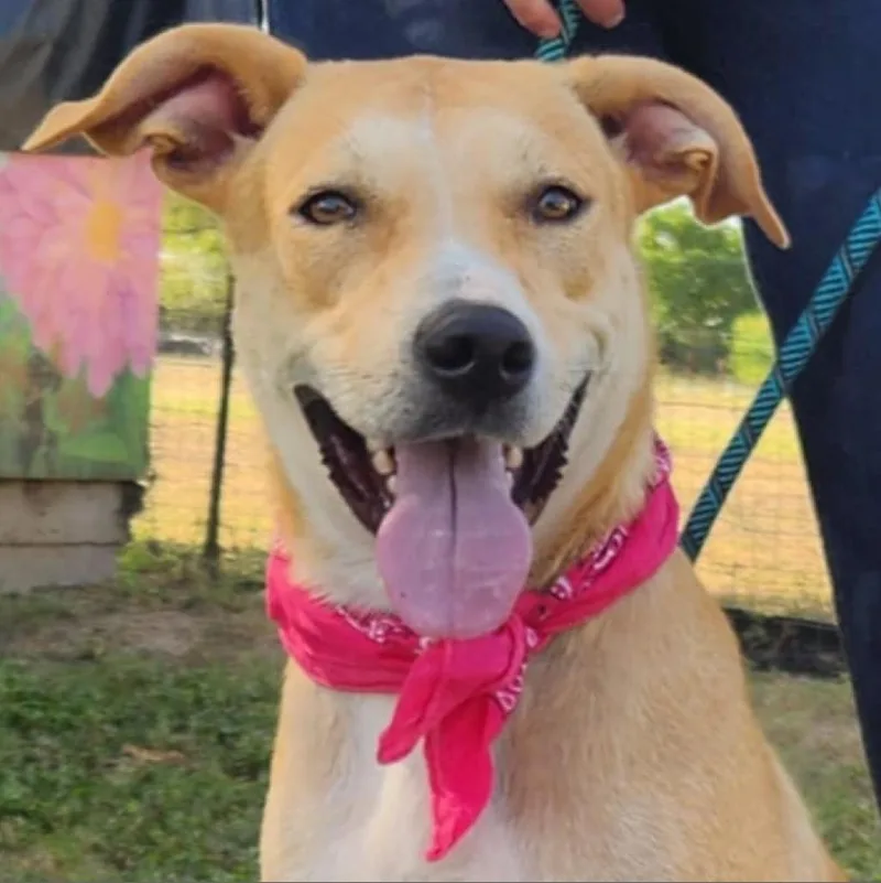 Reese Jum thumbnail 2