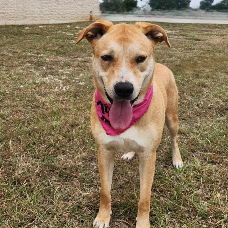 Reese Jum thumbnail 3