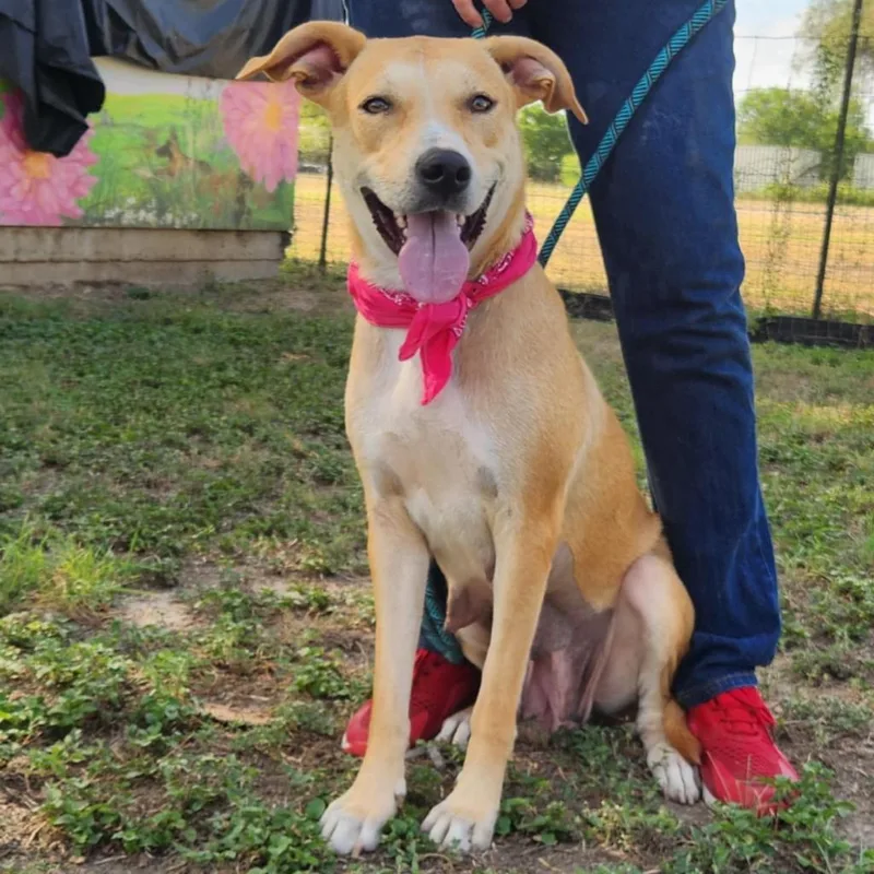 Reese Jum thumbnail 5