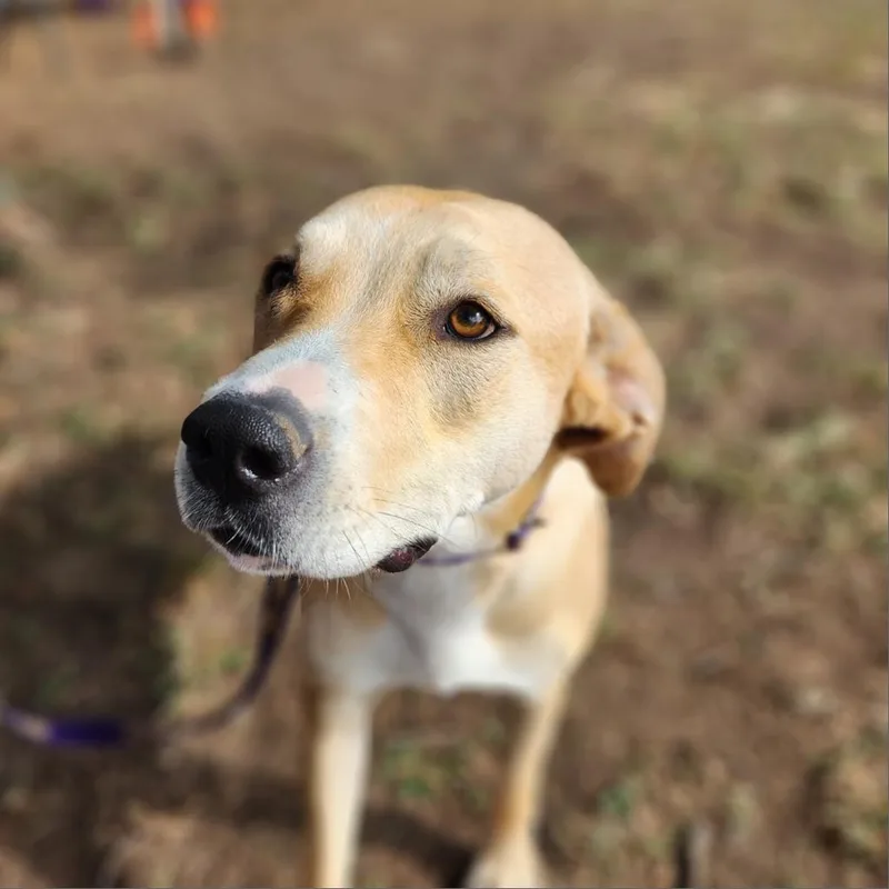 Reese Jum thumbnail 6