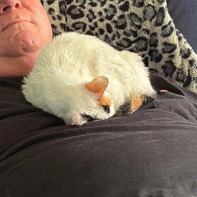Pearla thumbnail 2