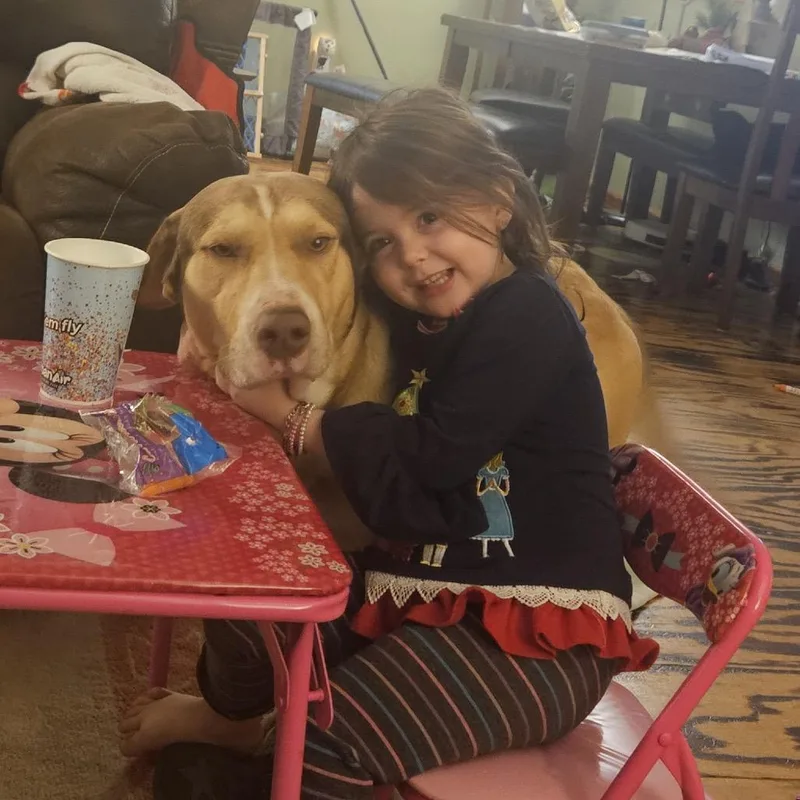 Biscuithw Treated thumbnail 3