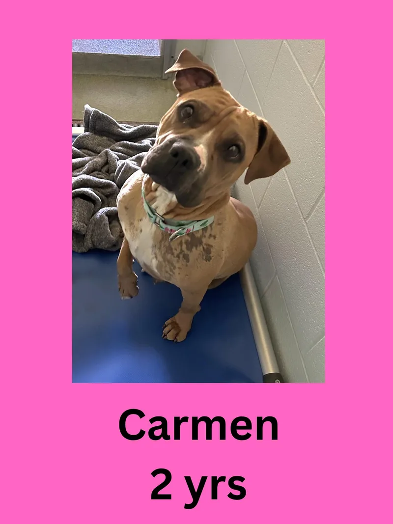 Carmen