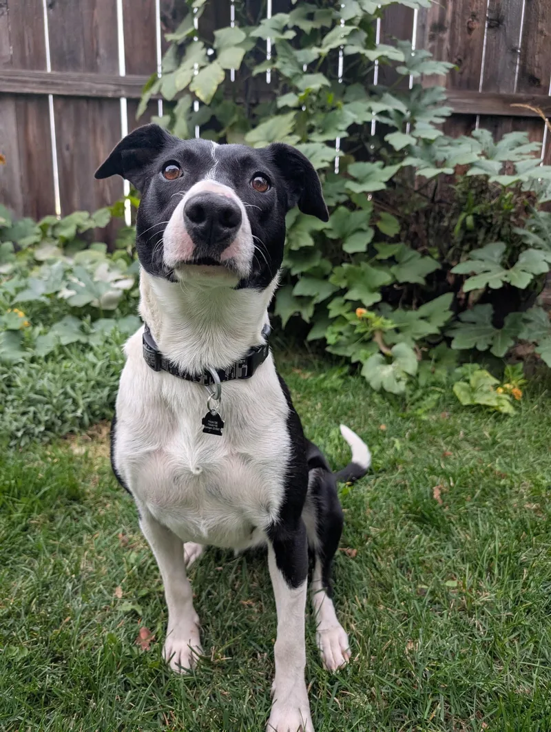 Cami  Sweet  thumbnail 3