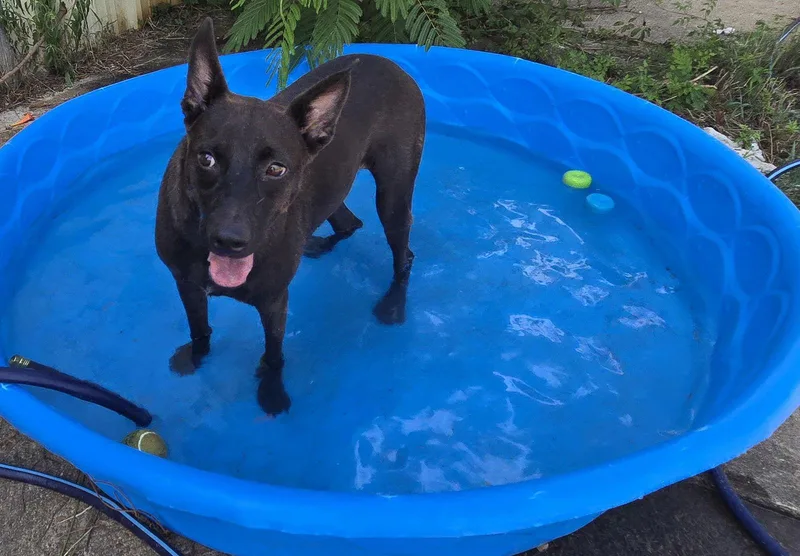 Casey Jones thumbnail 3