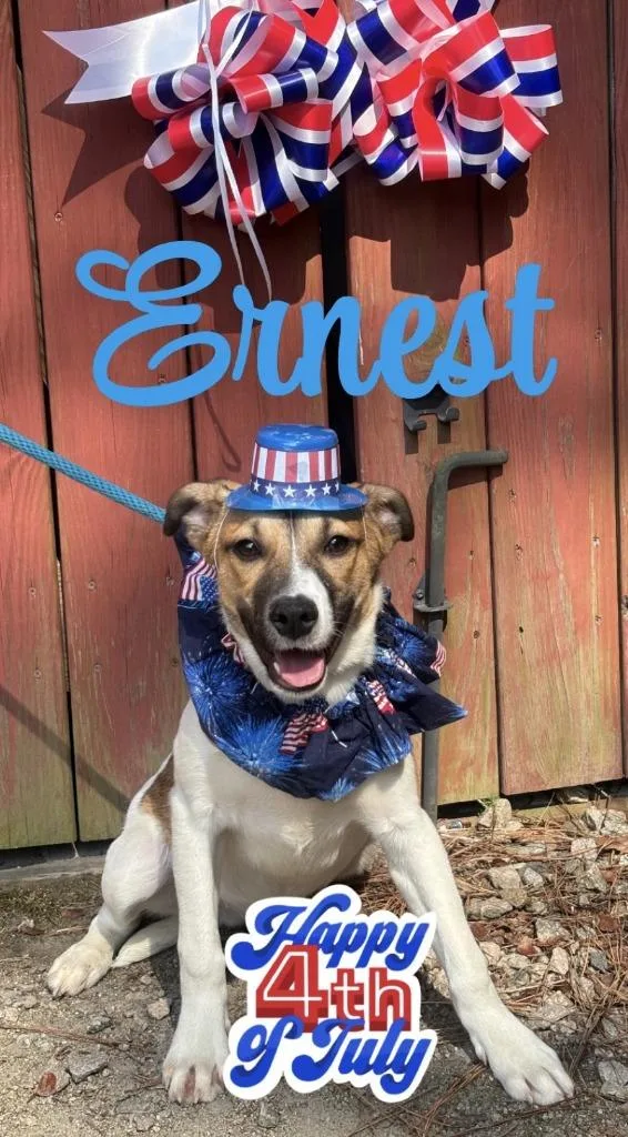 Ernest