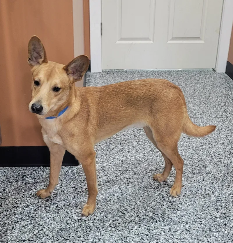 Jermaine thumbnail 2