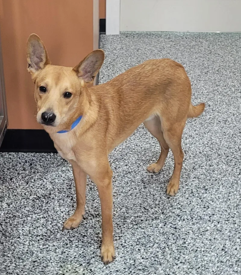 Jermaine thumbnail 3