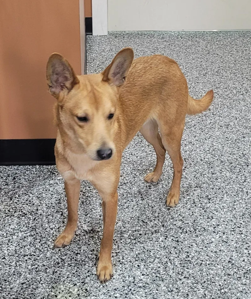 Jermaine thumbnail 4