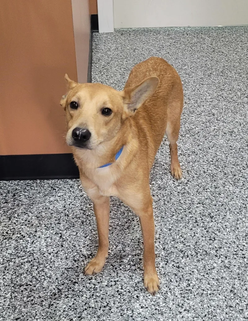 Jermaine thumbnail 5