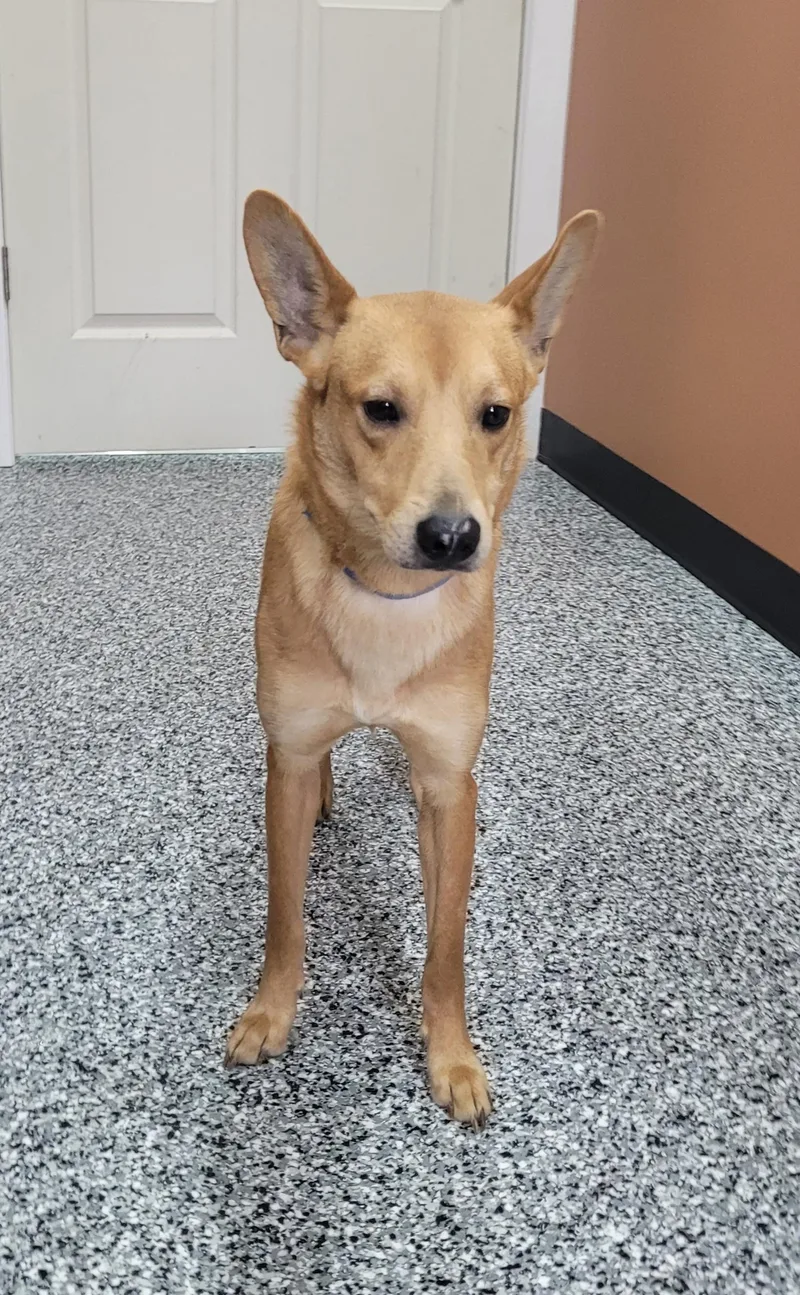 Jermaine thumbnail 6