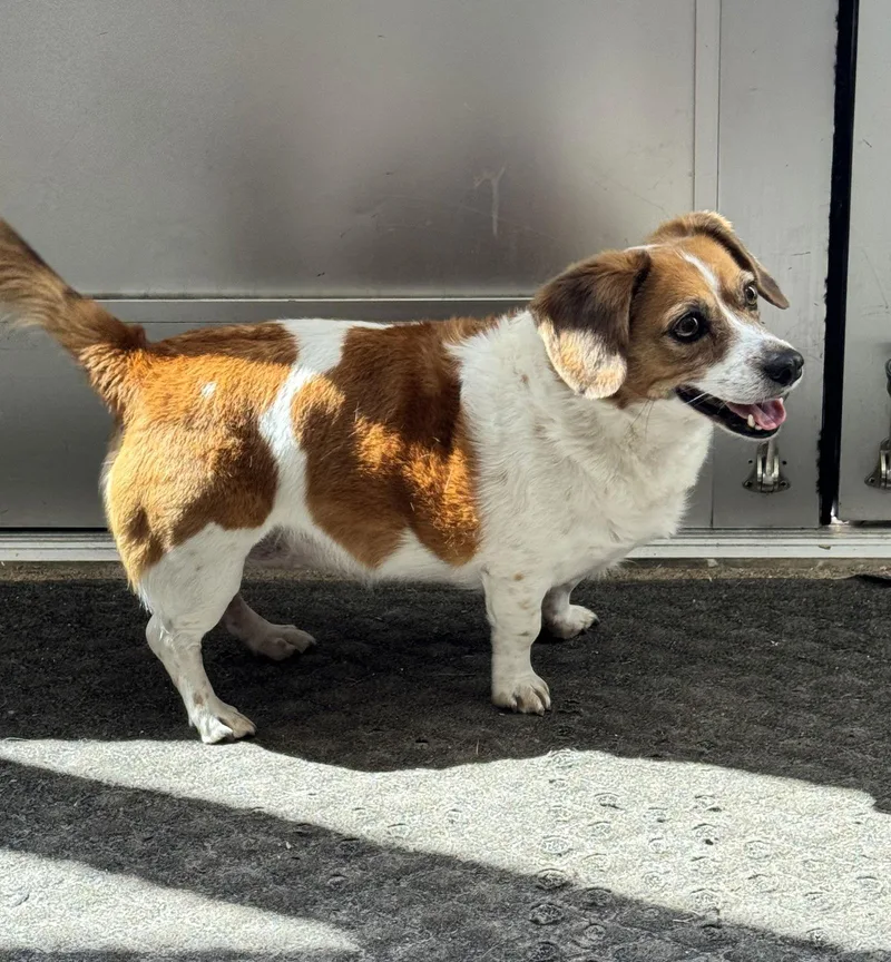 Betsy Fh thumbnail 2