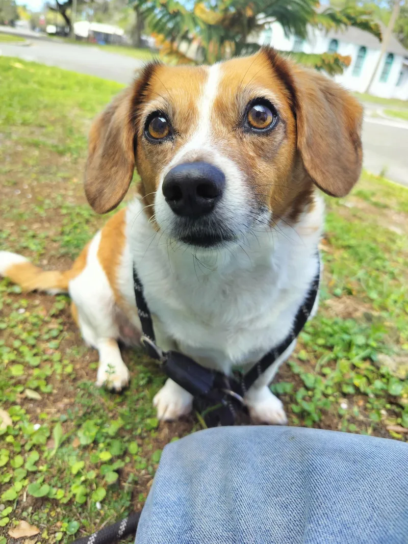 Betsy Fh thumbnail 3