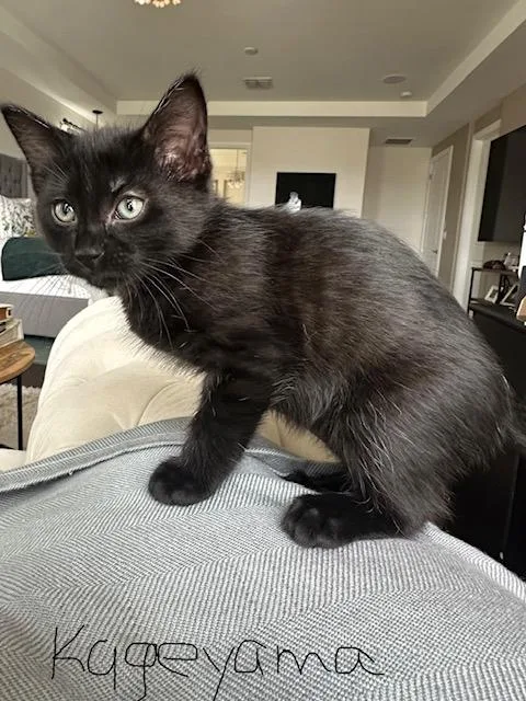 Kageyama thumbnail 2