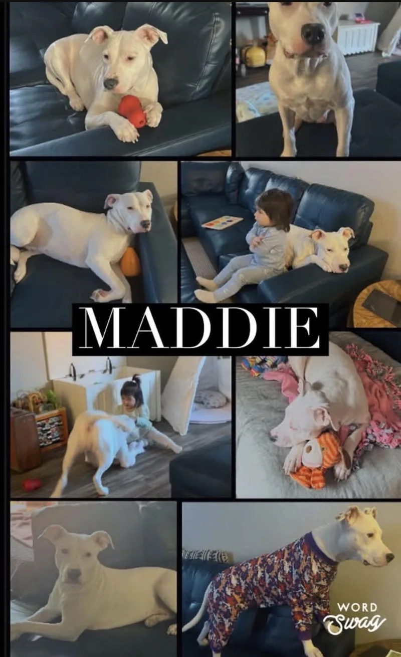 Maddie thumbnail 4