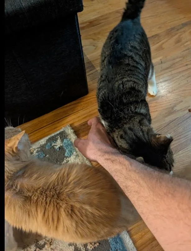 Rc Aka Toothless From thumbnail 2