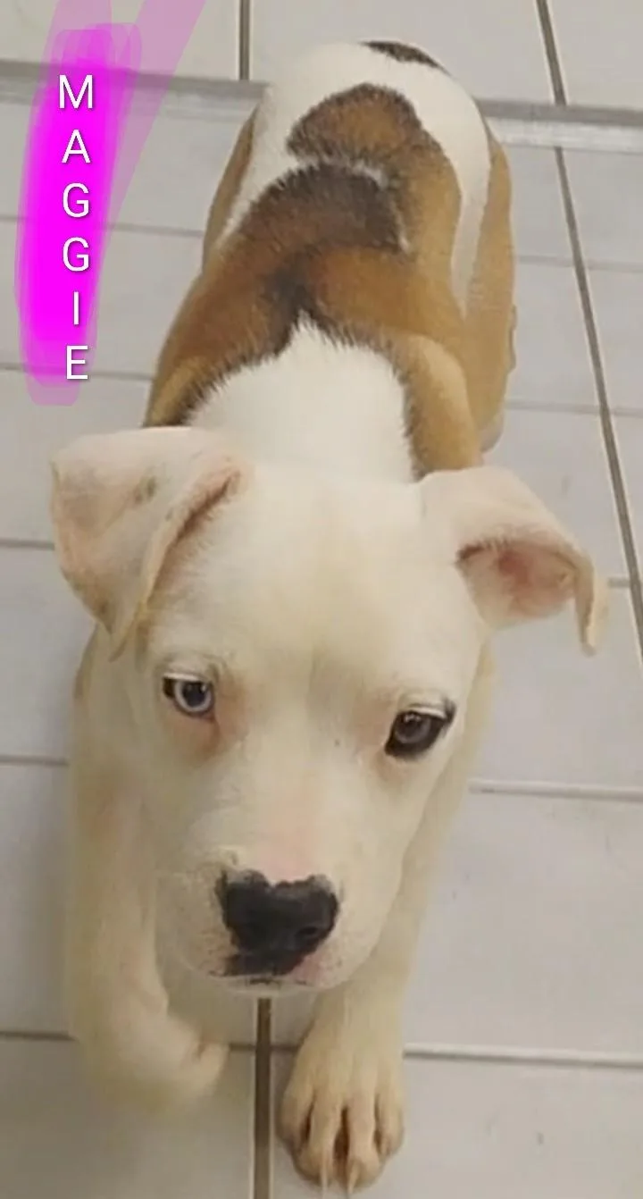 Maggie thumbnail 2