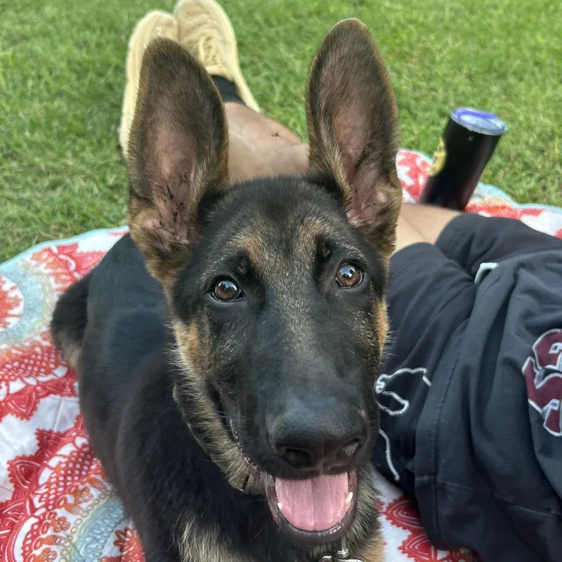 Boone