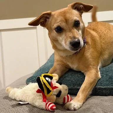 Nala thumbnail 3