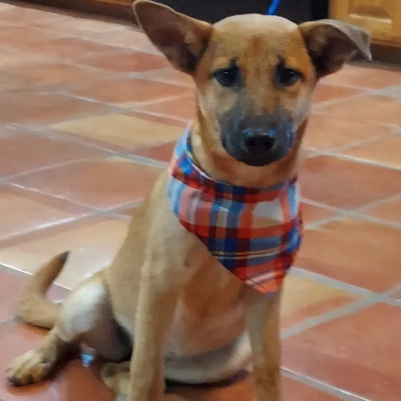 Samantha thumbnail 2