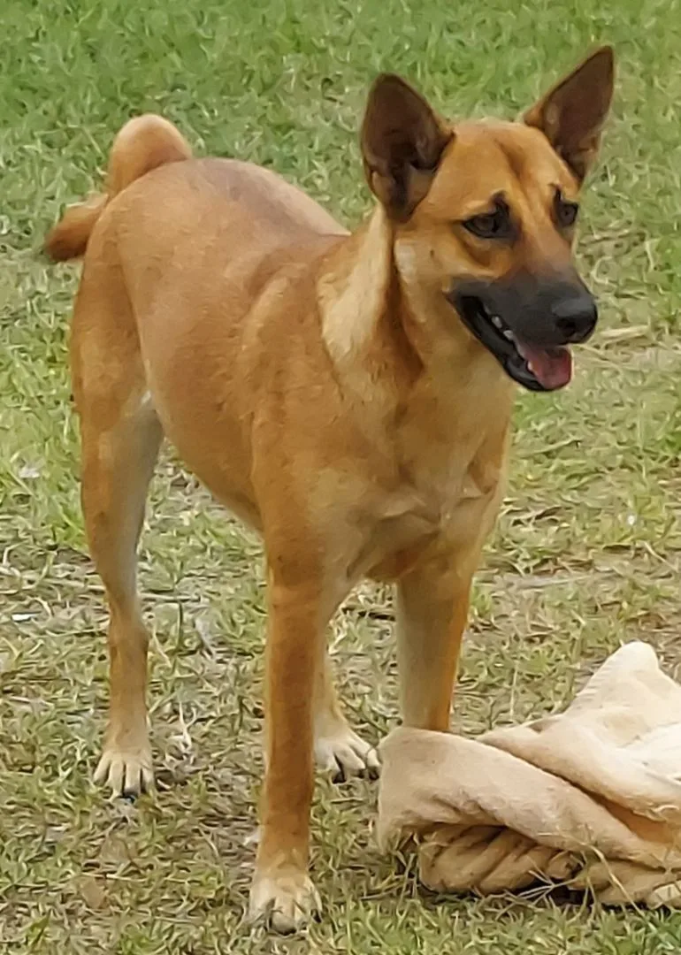 Samantha thumbnail 3