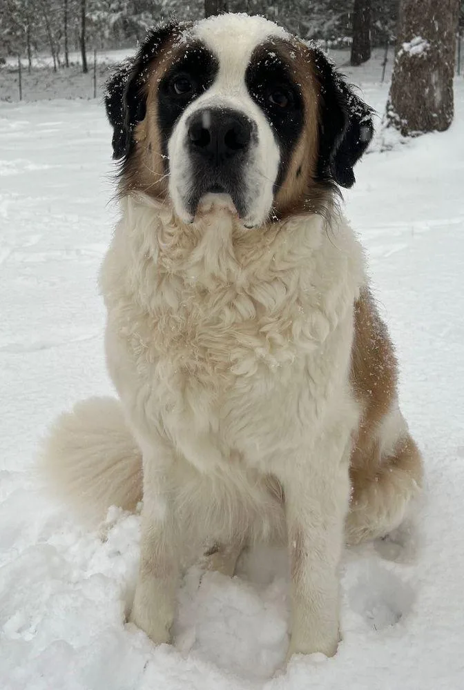 Atlas