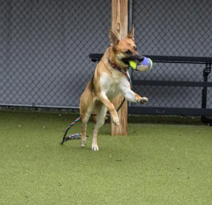 Navi thumbnail 2