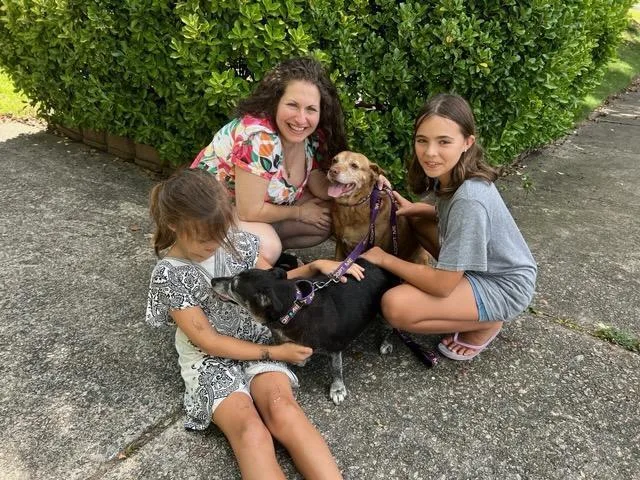 Sandy & Shadow Bonded thumbnail 6