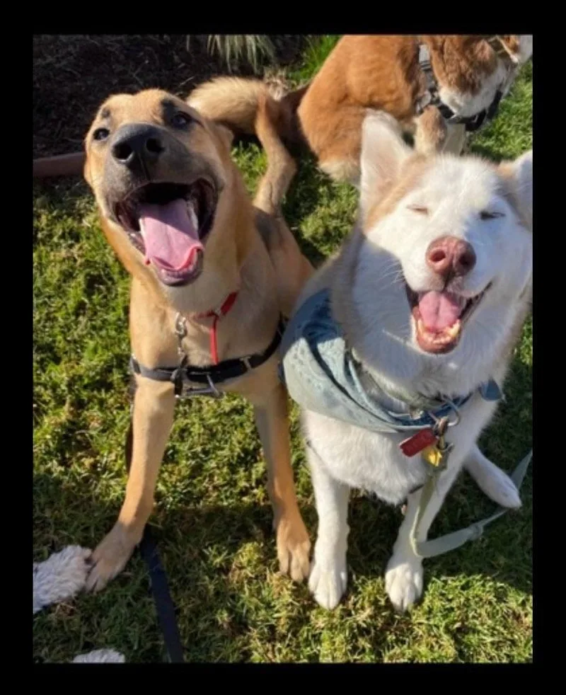 Puttin' On The Blitz thumbnail 2