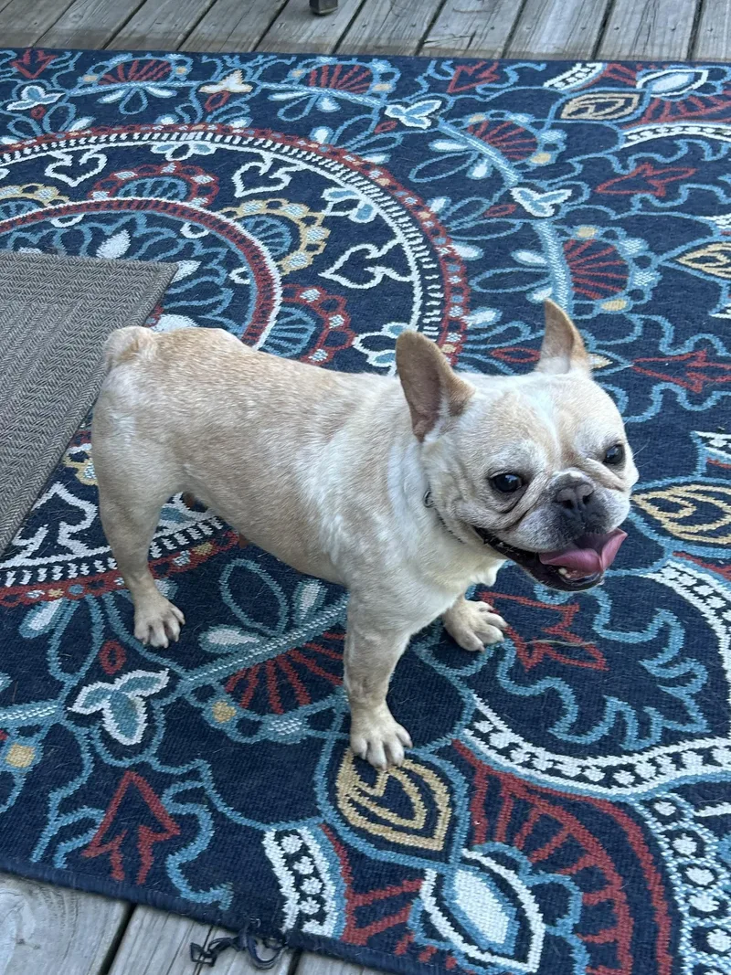 Fiona