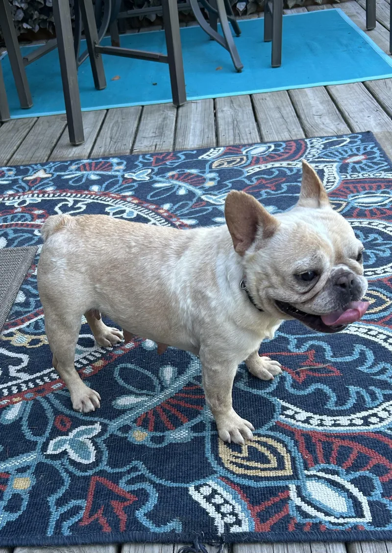 Fiona thumbnail 3