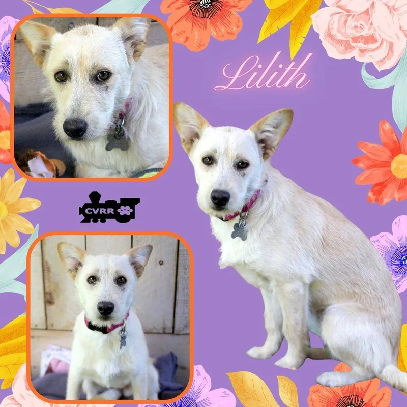 Lilith